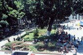 Visita la galería para ver mas fotos
